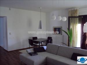 Apartament - 4 camere Baneasa GLX120606