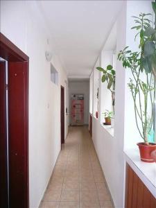 Inchiriere Apartamente Kogalniceanu Bucuresti GLX341103