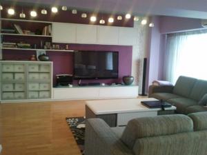 Apartament 2camere unirii (octavian goga)