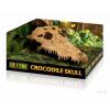 Decor terariu exo terra crocodile skull pt2856