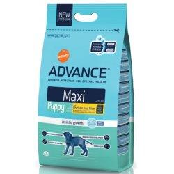 Advance Dog Maxi Puppy Protect