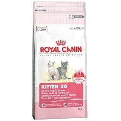 Hrana uscata pisici Royal Canin Kitten 36