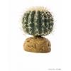Decor terariu barrel cactus s pt2980