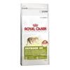 Hrana uscata pisici royal canin outdoor 30