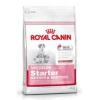 Hrana uscata caini Royal Canin Medium Starter