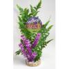 Decor planta sydeco fiesta aqua seagrass 26 cm