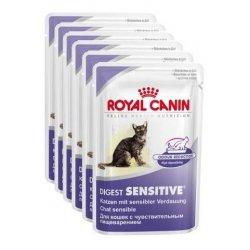 Hrana umeda pisici Royal Canin Digest Sensitive 9