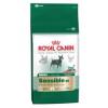 Hrana uscata caini Royal Canin Mini Sensible 30