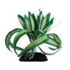 Decor plante chlorophytum