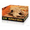 Decor terariu Exo Terra Buffalo Skull PT2857