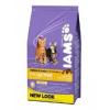 Hrana uscata iams kitten &amp