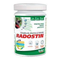 Complex de vitamine si minerale Radostin pisici adulte