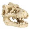 Decor craniu trixie 8793