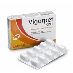 VIGORPET - supliment nutritiv pentru caini, tonic, energizant, impotriva stresului
