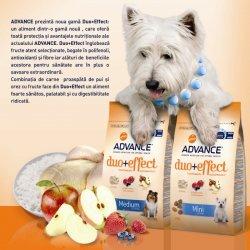 Advance Dog Mini Duo+Effect Health+Taste
