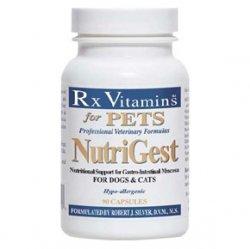 Rx Vitamins NutriGest protector gastric