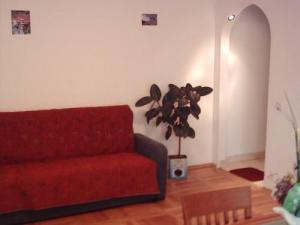 Apartament 3 camere in regim hotelier