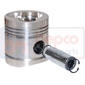 Piston david brown 780-k921288