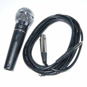 Microfon Profesional Azusa Dm604