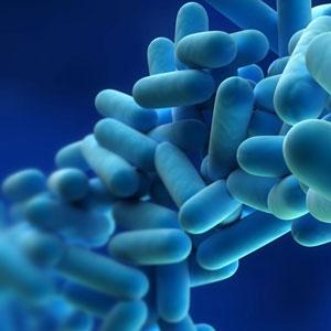 Masuri de prevenire si investigatii privind Legionella
