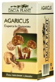 Ciuperci agaricus