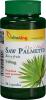 Extract de palmier pitic (Saw palmetto)