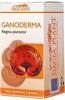 Ganoderma 450 mg