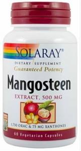 Mangosteen Extract