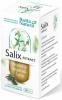 Salix extract (aspirina vegetala