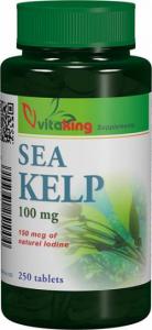 Alga marina (Sea Kelp)