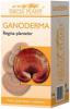 Ganoderma 405 mg