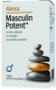 Masculin potent