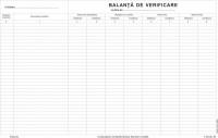 Balanta Verificare 857