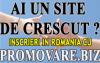 Inscriere in directoare web romanesti cu promovare.biz