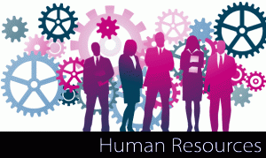 Dezvoltarea strategica a resurselor umane