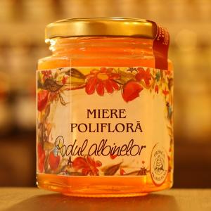 Miere poliflora, 250g Prisaca Transilvania