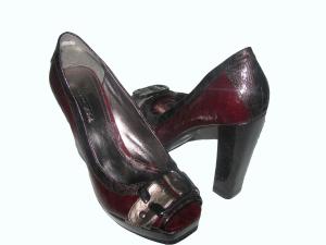 Pantof de dama