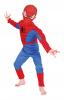 Costum spiderman cu cagula - rubies