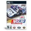 Nascar sim racing