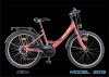 Bicicleta special 2414 -6v -model 2013 - dhs