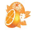Sticker portocala