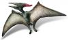 Pteranodon