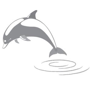 Sticker Delfin