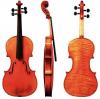Gewa violin instrumenti liuteria maestro vi b