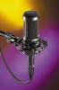 Audio Technica AT2035 - Cardioid Condenser Mic