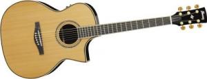 Ibanez ACS1150ECE-NT Electro-Acoustic Guitar