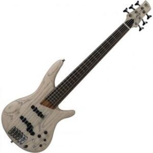 Bass guitar