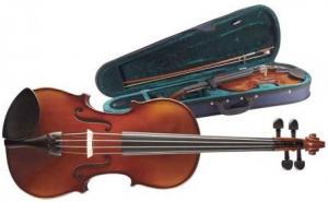 STAGG- vioara acustica - solid maple violin in solid-shaped case