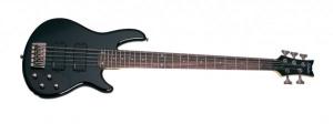 Schecter Raiden Custom-5 BLK - Electric Bass Guitar