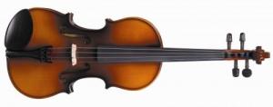 Antoni Debut 3/4 Violin